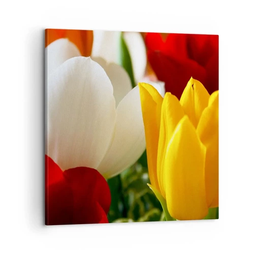 Bild auf Leinwand - Leinwandbild - Tulpenfieber - 60x60 cm