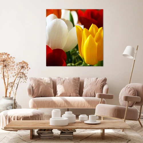 Bild auf Leinwand - Leinwandbild - Tulpenfieber - 60x60 cm