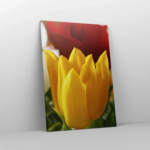 Bild auf Leinwand - Leinwandbild - Tulpenfieber - 70x100 cm