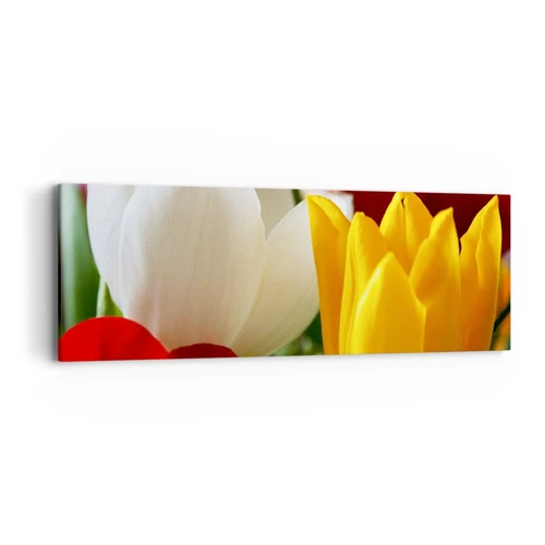 Bild auf Leinwand - Leinwandbild - Tulpenfieber - 90x30 cm