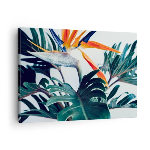 Bild auf Leinwand - Leinwandbild - Vogelbusch - 70x50 cm