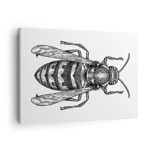 Bild auf Leinwand - Leinwandbild - Von einem Insektenplaneten - 70x50 cm