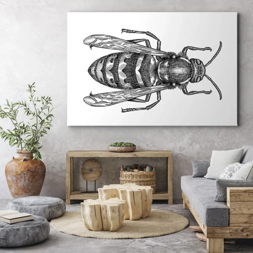 Bild auf Leinwand - Leinwandbild - Von einem Insektenplaneten - 70x50 cm