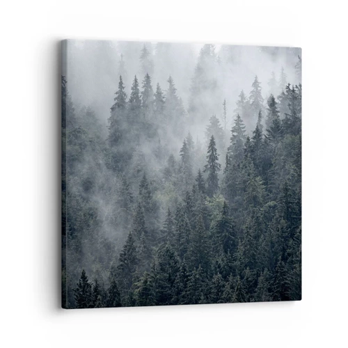 Bild auf Leinwand - Leinwandbild - Walddämmerung - 30x30 cm