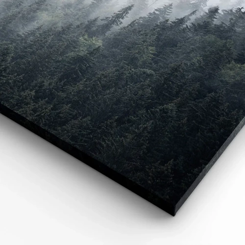 Bild auf Leinwand - Leinwandbild - Walddämmerung - 55x100 cm