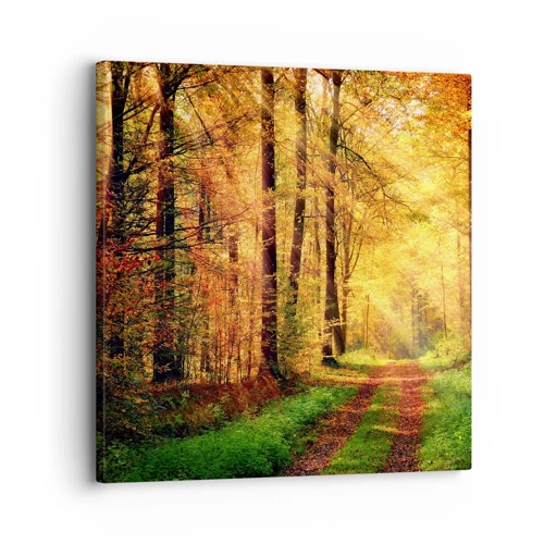 Bild auf Leinwand - Leinwandbild - Waldgoldene Stille - 30x30 cm