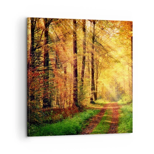 Bild auf Leinwand - Leinwandbild - Waldgoldene Stille - 60x60 cm