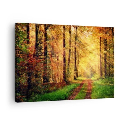 Bild auf Leinwand - Leinwandbild - Waldgoldene Stille - 70x50 cm