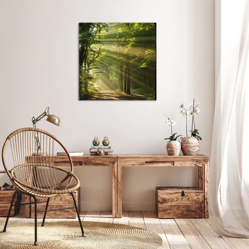 Bild auf Leinwand - Leinwandbild - Waldmoment - 40x40 cm