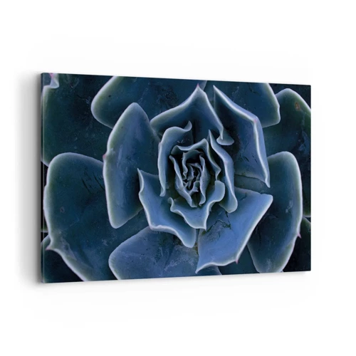 Bild auf Leinwand - Leinwandbild - Wüstenblume - 100x70 cm