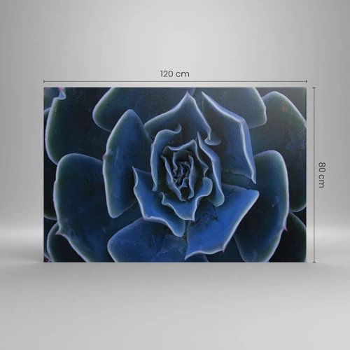 Bild auf Leinwand - Leinwandbild - Wüstenblume - 120x80 cm