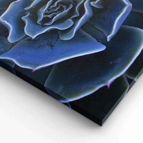 Bild auf Leinwand - Leinwandbild - Wüstenblume - 65x120 cm