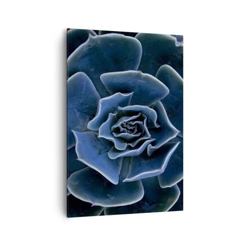 Bild auf Leinwand - Leinwandbild - Wüstenblume - 70x100 cm