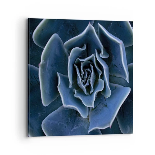 Bild auf Leinwand - Leinwandbild - Wüstenblume - 70x70 cm