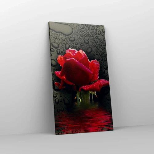 Bild auf Leinwand - Leinwandbild - rot und Schwarz - 45x80 cm