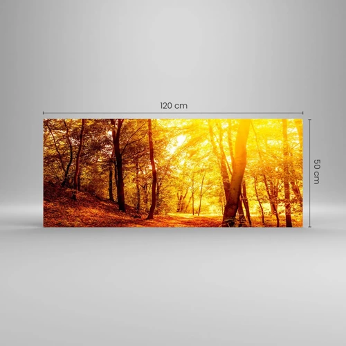 Glasbild - Bild auf glas - Auf die goldene Lichtung - 120x50 cm