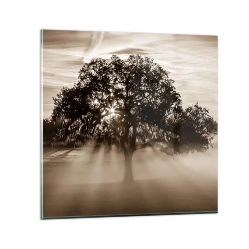 Glasbild - Bild auf glas - Baum der guten Nachrichten  - 30x30 cm