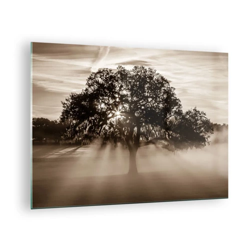 Glasbild - Bild auf glas - Baum der guten Nachrichten  - 70x50 cm