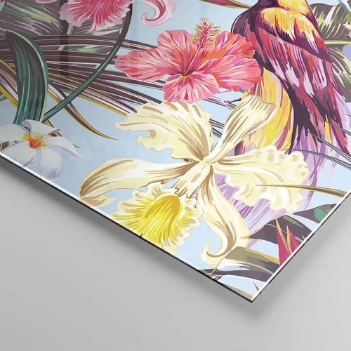 Glasbild - Bild auf glas - Blütenblätter und Federn - 160x50 cm
