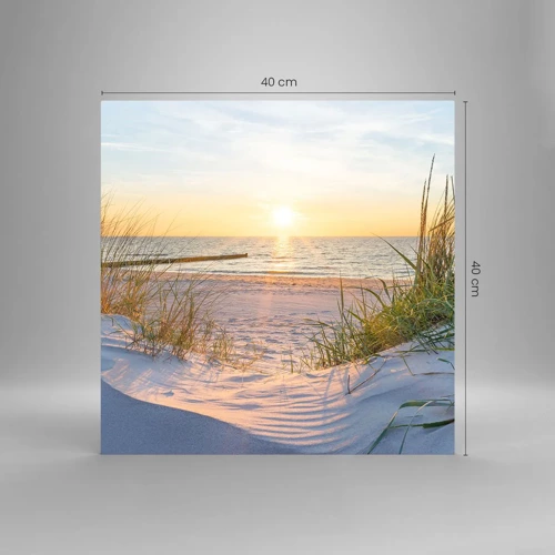 Glasbild - Bild auf glas - Das Rauschen des Meeres, der Gesang der Vögel, ein wilder Strand im Gras ... - 40x40 cm