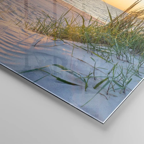 Glasbild - Bild auf glas - Das Rauschen des Meeres, der Gesang der Vögel, ein wilder Strand im Gras ... - 50x50 cm