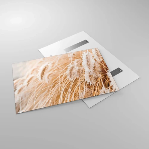 Glasbild - Bild auf glas - Das goldene Rauschen des Grases - 120x80 cm