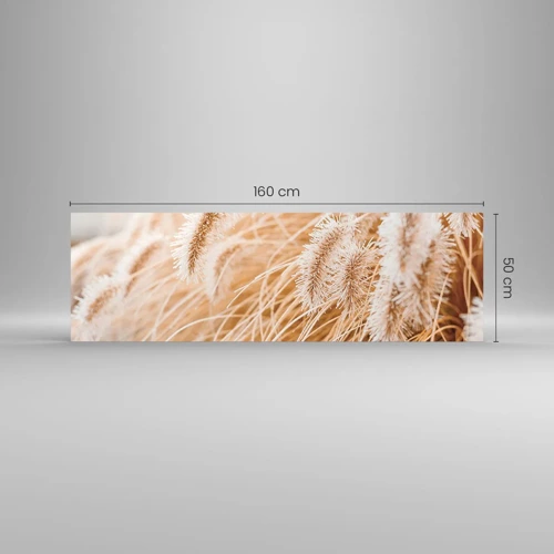 Glasbild - Bild auf glas - Das goldene Rauschen des Grases - 160x50 cm