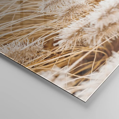Glasbild - Bild auf glas - Das goldene Rauschen des Grases - 60x60 cm