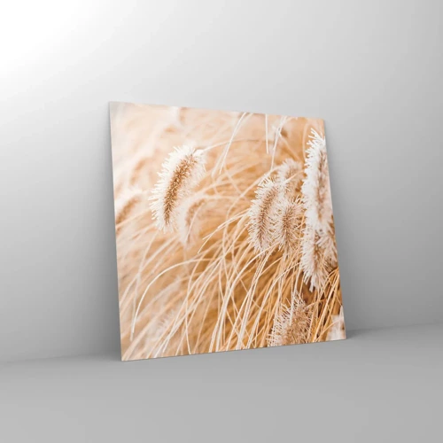 Glasbild - Bild auf glas - Das goldene Rauschen des Grases - 70x70 cm
