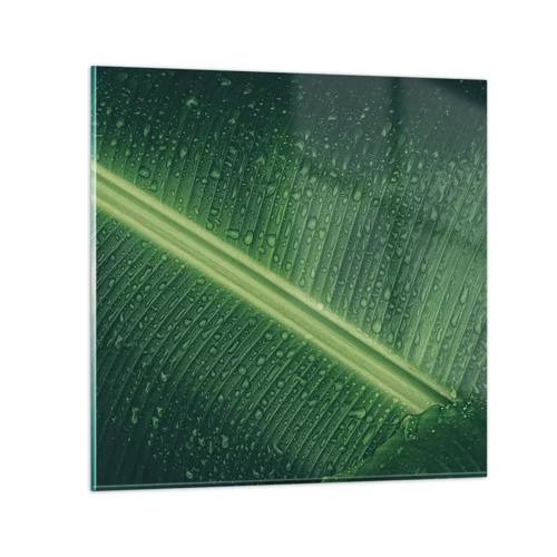 Glasbild - Bild auf glas - Die Struktur des Grüns - 50x50 cm
