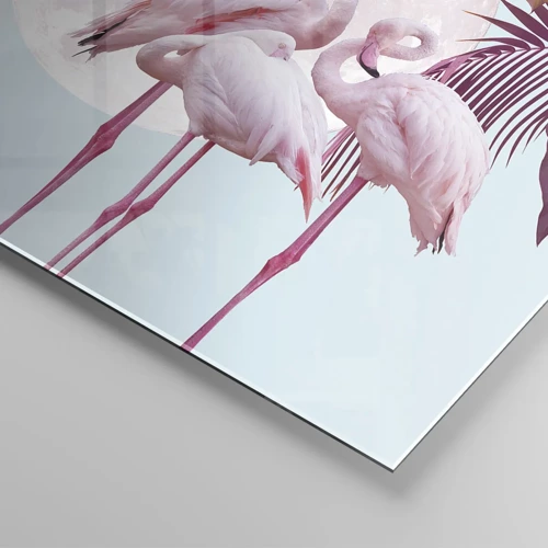Glasbild - Bild auf glas - Drei Vogelgnaden - 160x50 cm