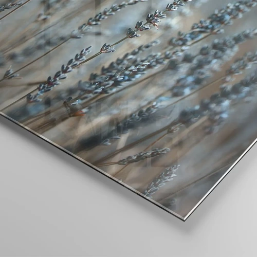 Glasbild - Bild auf glas - Duftendes Kornfeld - 120x50 cm