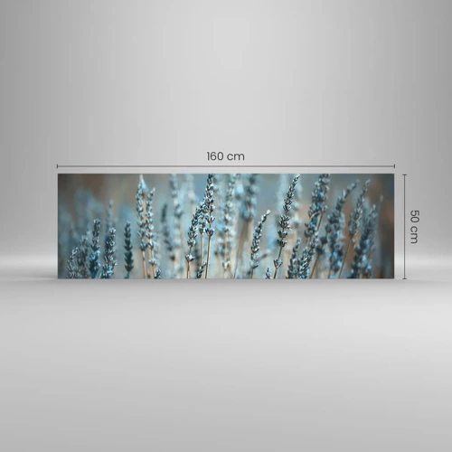 Glasbild - Bild auf glas - Duftendes Kornfeld - 160x50 cm