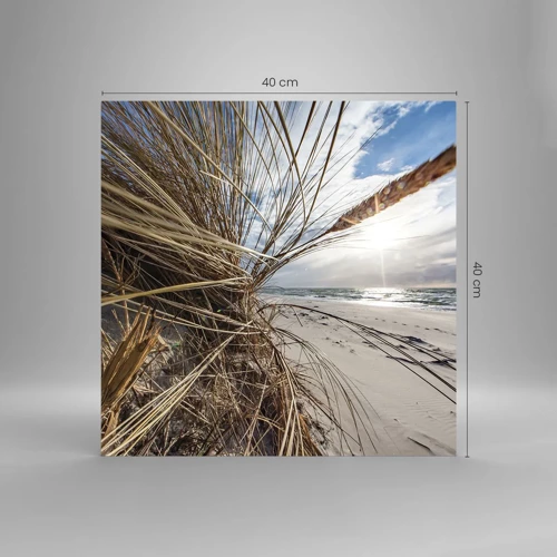 Glasbild - Bild auf glas - Ein Treffen der Elemente der Natur - 40x40 cm