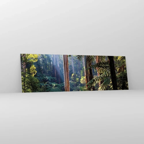 Glasbild - Bild auf glas - Ein Waldmärchen - 160x50 cm