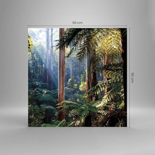 Glasbild - Bild auf glas - Ein Waldmärchen - 50x50 cm