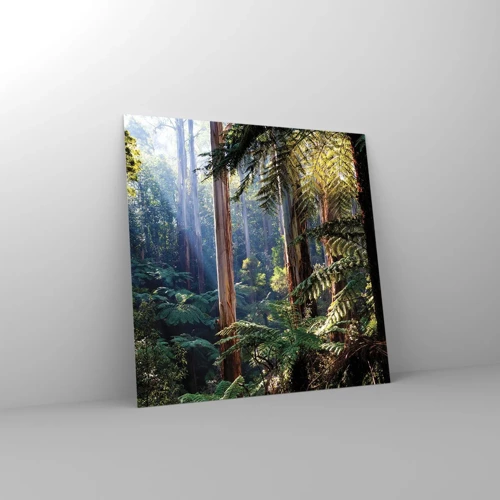 Glasbild - Bild auf glas - Ein Waldmärchen - 50x50 cm
