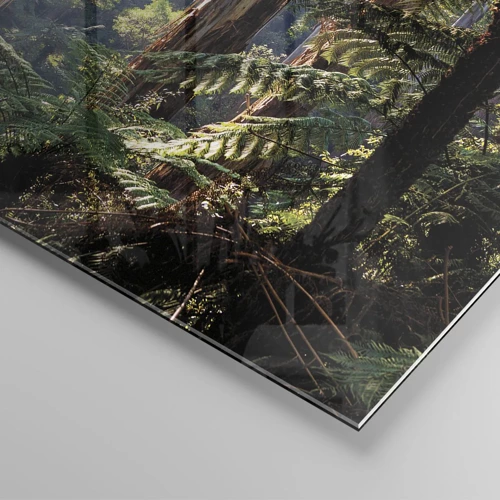 Glasbild - Bild auf glas - Ein Waldmärchen - 70x100 cm