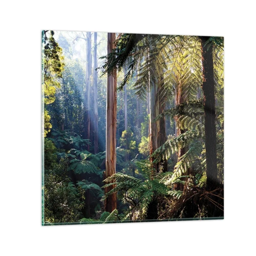 Glasbild - Bild auf glas - Ein Waldmärchen - 70x70 cm