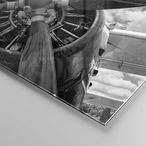 Glasbild - Bild auf glas - Eroberer der Lüfte - 30x30 cm