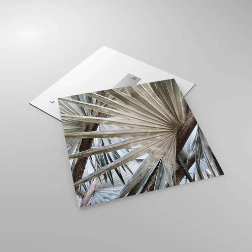 Glasbild - Bild auf glas - Fans in den Tropen - 60x60 cm