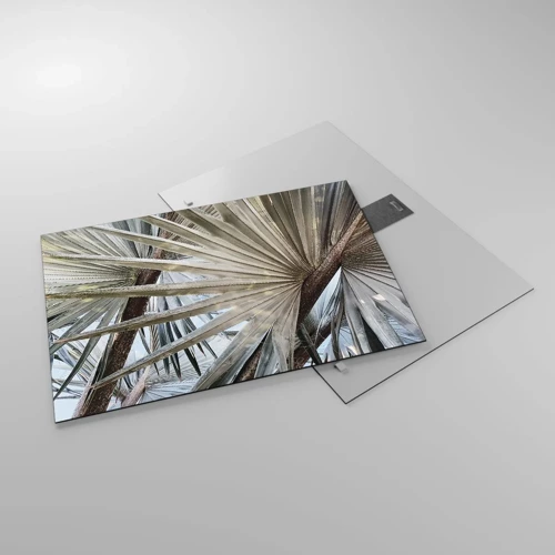 Glasbild - Bild auf glas - Fans in den Tropen - 70x50 cm