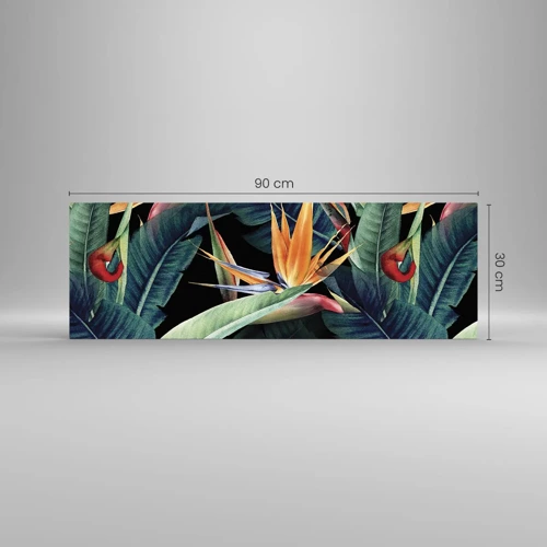 Glasbild - Bild auf glas - Flammende Blumen der Tropen - 90x30 cm