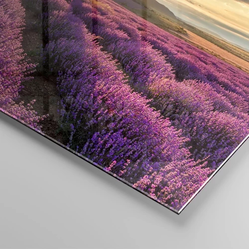 Glasbild - Bild auf glas - Fliederfarbenes Aroma - 40x40 cm