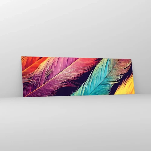 Glasbild - Bild auf glas - Gefiederter Regenbogen - 160x50 cm