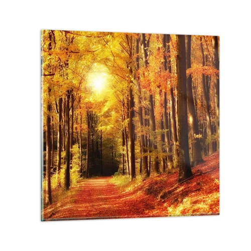 Glasbild - Bild auf glas - Goldener Herbst auf einer Forststraße - 50x50 cm