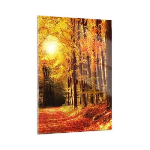 Glasbild - Bild auf glas - Goldener Herbst auf einer Forststraße - 50x70 cm