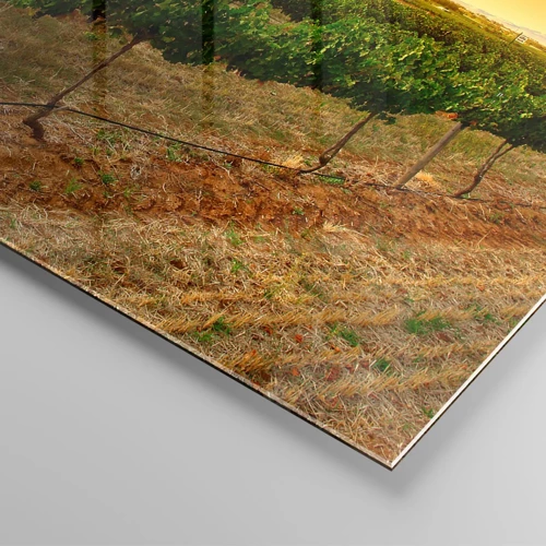 Glasbild - Bild auf glas - Holen Sie sich einen Drink von der Sonne - 70x70 cm