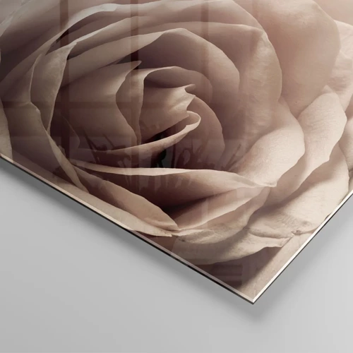 Glasbild - Bild auf glas - Im Herzen der Rose - 100x70 cm