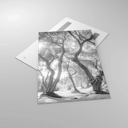 Glasbild - Bild auf glas - Im Olivenhain - 80x120 cm